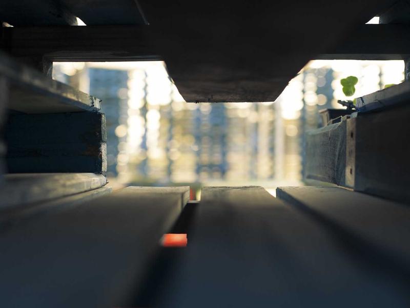 Stunning Ways that will Revolutionize your Education