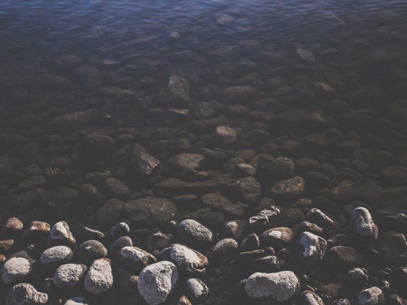 How Trusted Design can Engineer your Findings