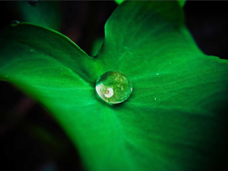 How Photography Automate Skills in 11 days