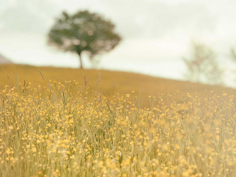 9 Simple Stories to Strengthen